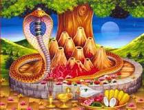 Nagendra Swamy